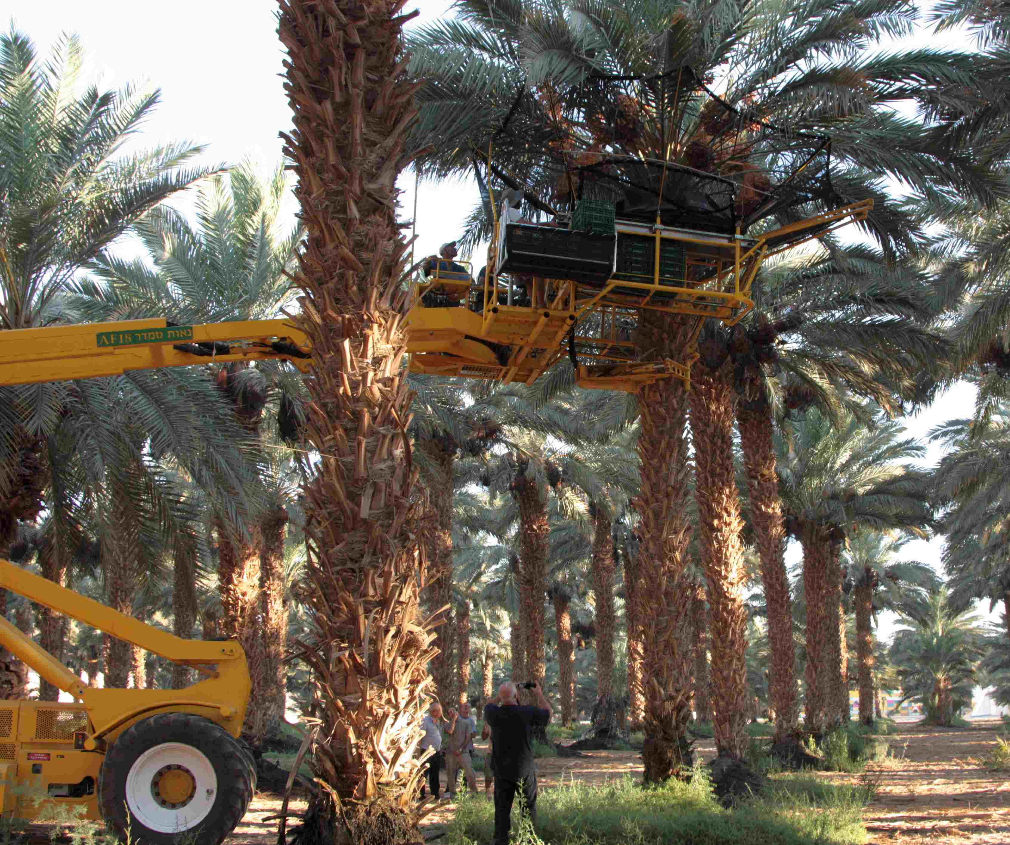 Machinery & Technology